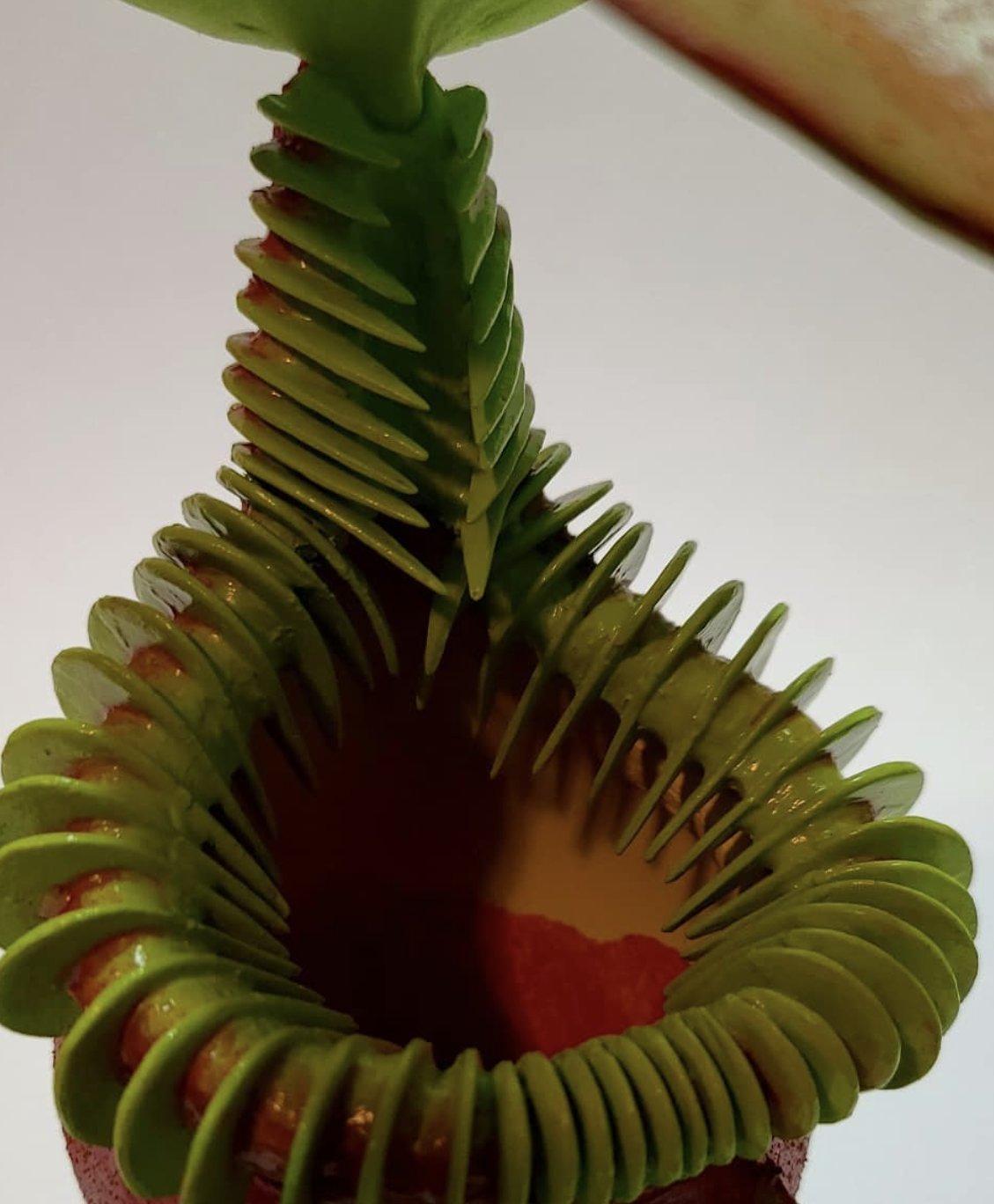 Serpent Coil Pitcher detail 4