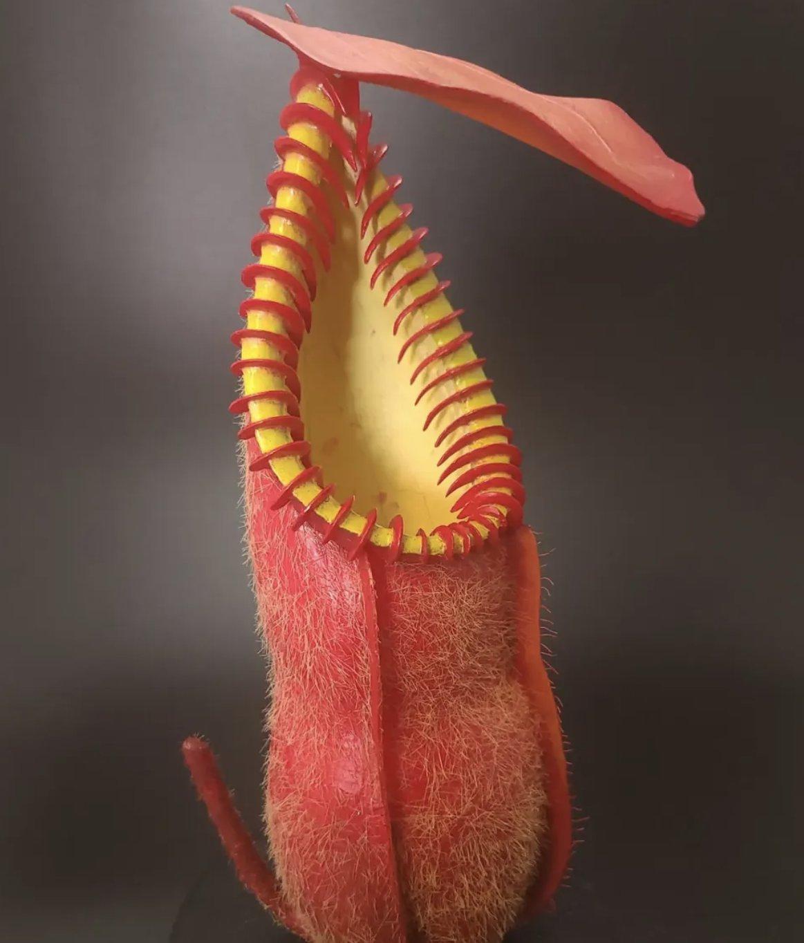 Crimson Fringe Trumpet