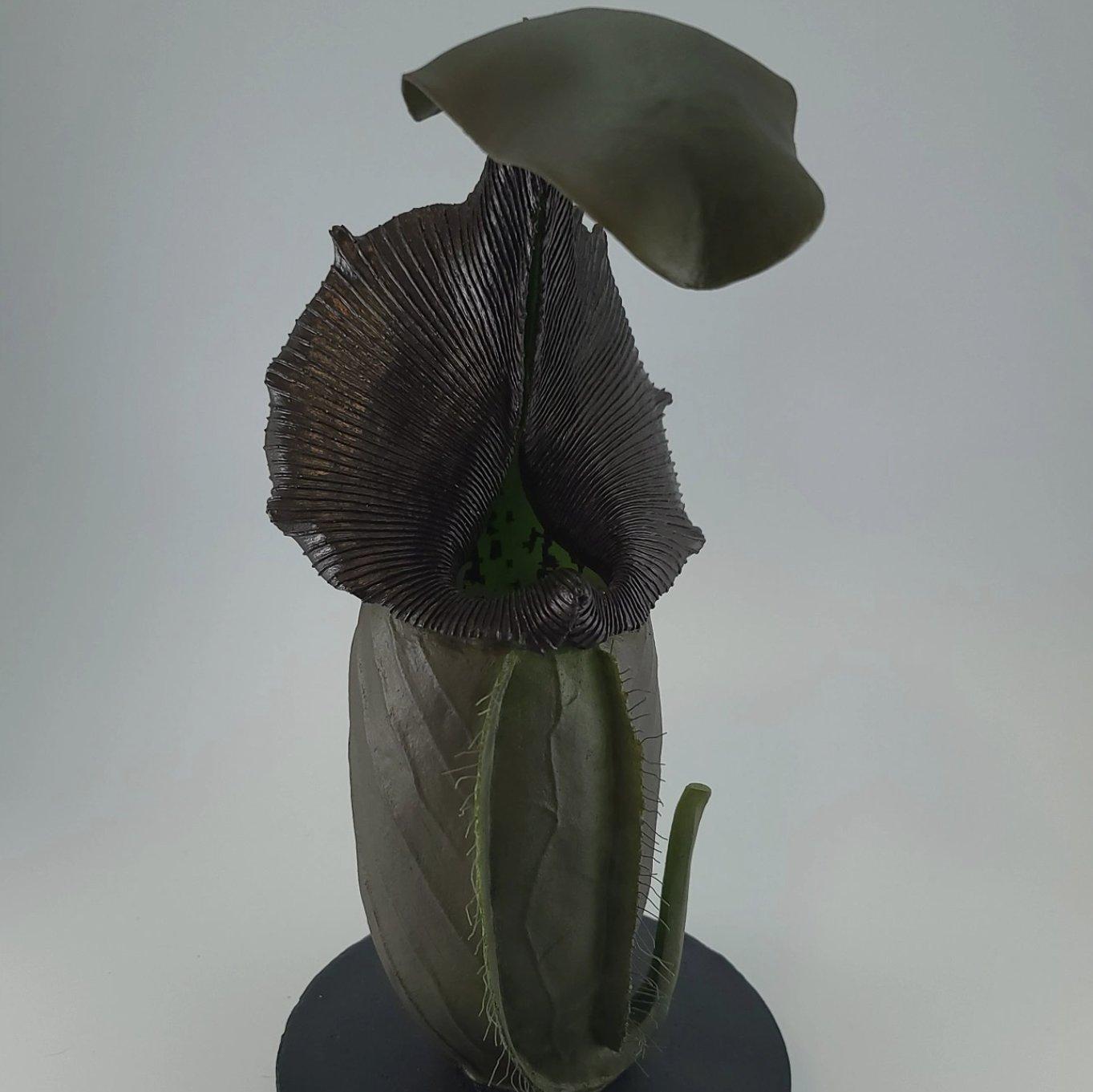 Widow's Veil Pitcher detail 2