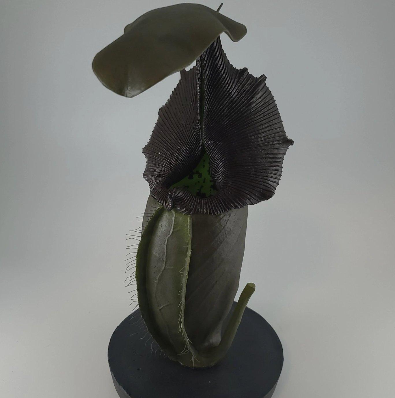 Widow's Veil Pitcher