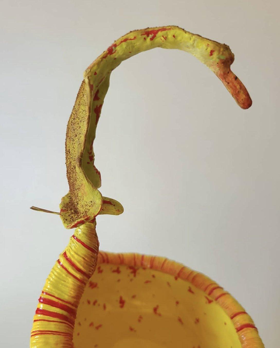 Golden Talon Pitcher detail 2