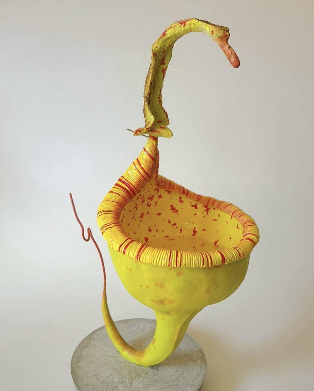 Golden Talon Pitcher detail 4