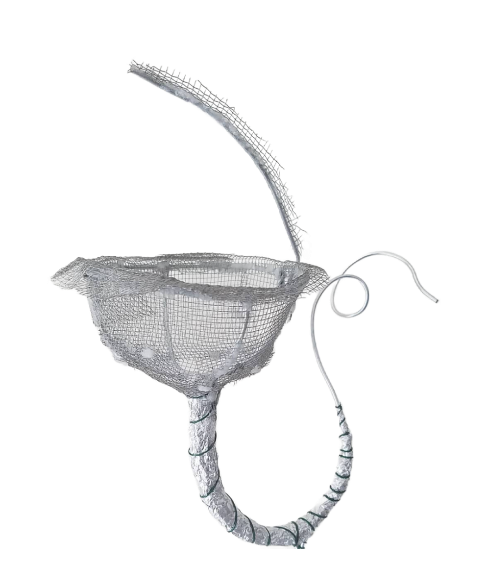 Wire-mesh armature of a pitcher plant sculpture, the earliest stage of the piece.